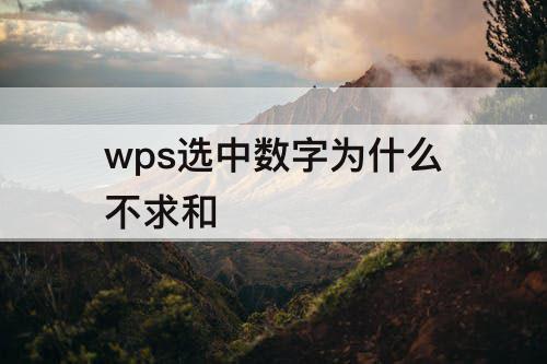 8e99w516627.jpeg