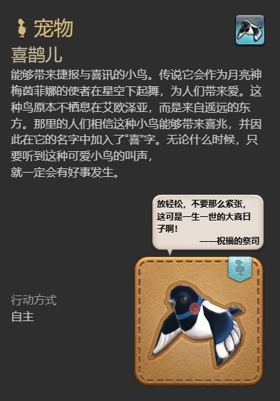 《最终幻想14水晶世界》喜鹊儿宠物获得方法