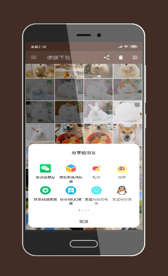 便捷下载app