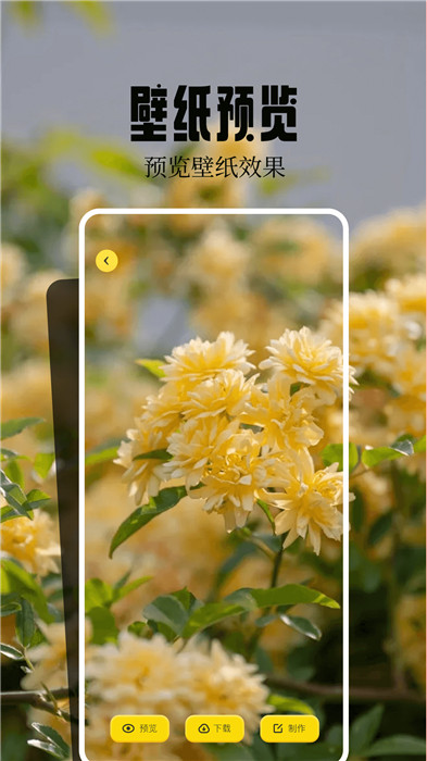 魔秀壁纸app