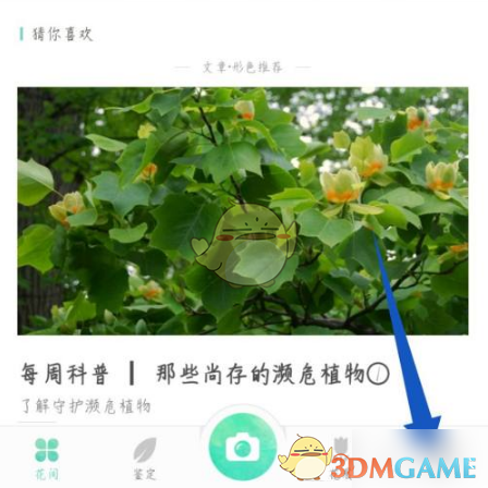 《形色》头像更换方法