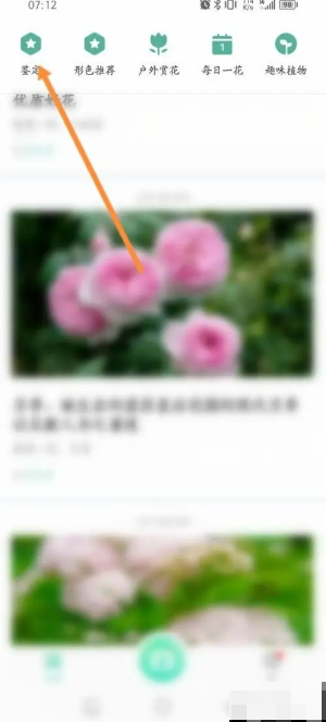 《形色》鉴定植物方法