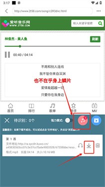 嗅探大师app
