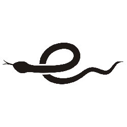 小蛇浏览器最新版2025安卓版