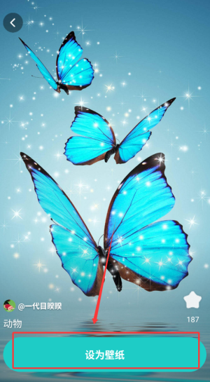 《青藤壁纸》设置壁纸方法