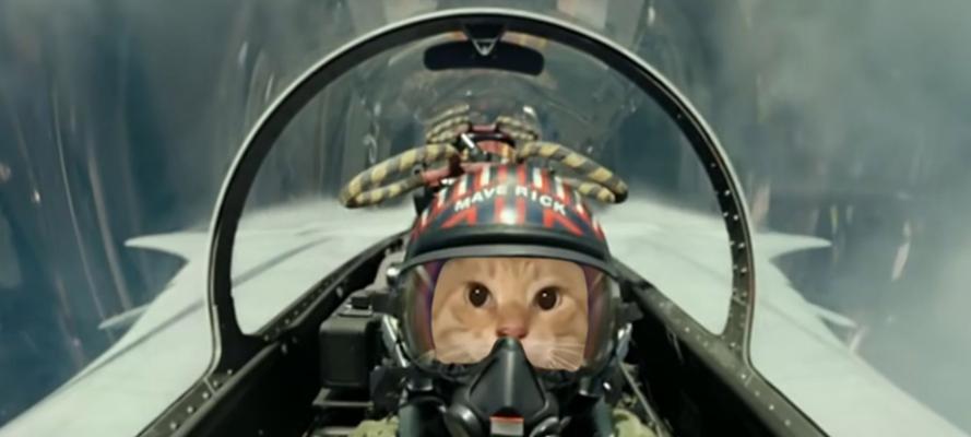 战争雷霆老猫的攻击策略有哪些? 战争雷霆老猫的攻击策略有哪些?