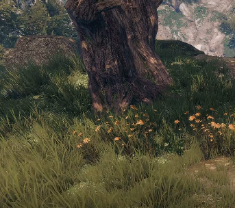 《下一站江湖2》松木获取攻略