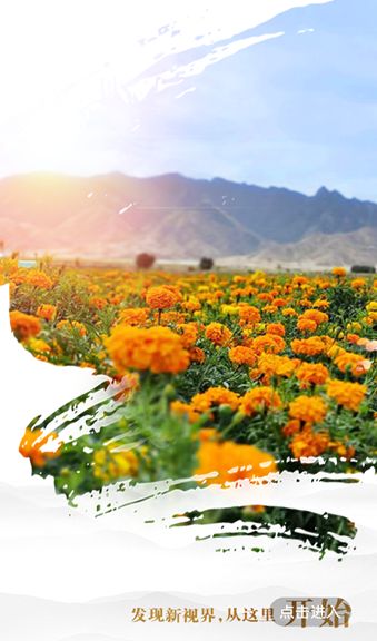 眼界新闻app安卓版下载