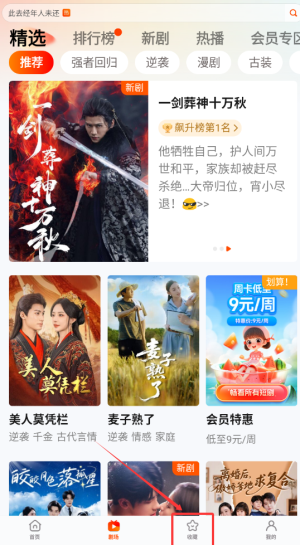 《繁华剧场》收藏电视剧方法