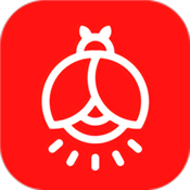 火萤壁纸最新下载2025版