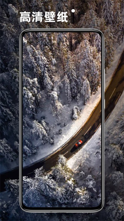 小熊桌面壁纸安卓手机版