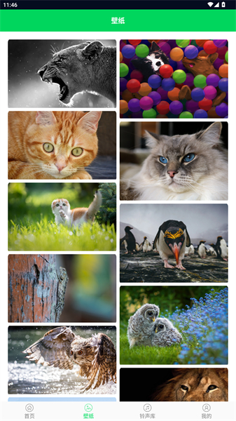 我的铃声制作助手