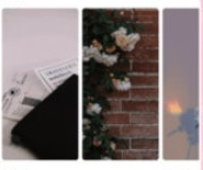 元气壁纸动态壁纸