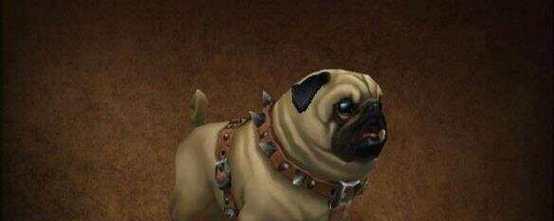 魔兽世界中狗类宠物多的地点？如何获取？