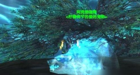 魔兽世界猎人技能师位置及打法介绍？