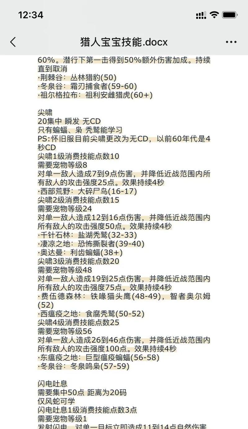 魔兽世界猎人技能师位置及打法介绍？