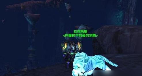 魔兽世界哪里熊和蜘蛛刷新最多？最佳狩猎地点在哪里？