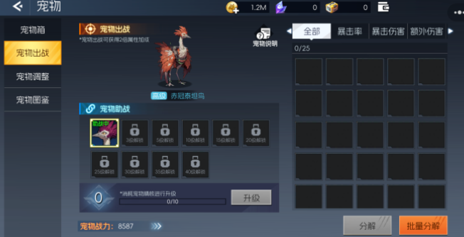 《街机恐龙》宠物一览