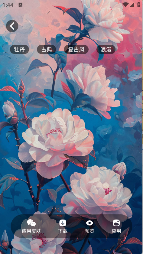 创意壁纸精选高清版