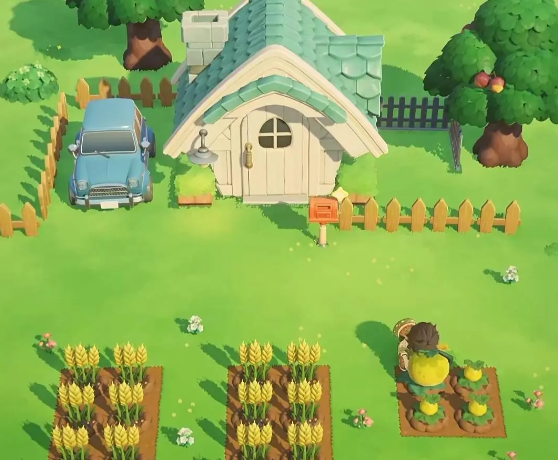 《星布谷地》幻雪介绍