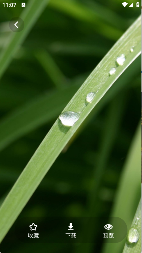 茄子漫画壁纸高清版