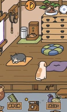 狗狗的使命下载最新app