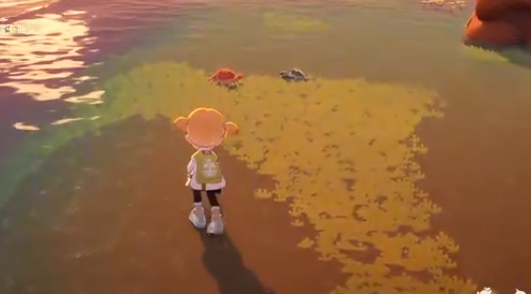 《星布谷地》螃蟹捕捉攻略