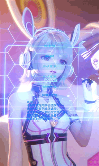 佩琪美化包框架