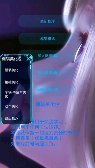 佩琪美化包框架