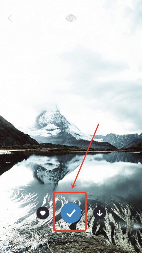 皮卡超级壁纸软件