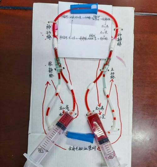 血瓶制作教程和使用技巧是什么？