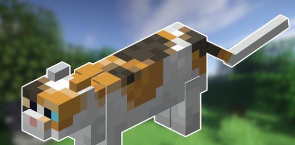 《我的世界》中如何驯服动物？驯服动物的步骤是什么？