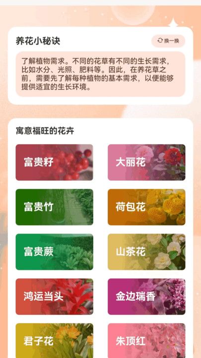 花瓣走路最新2025安卓版