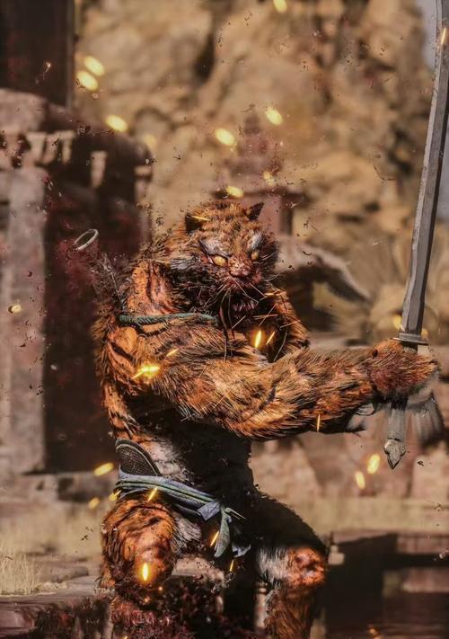 《异度之刃2》虎角色介绍（揭秘虎人物的独特技能）