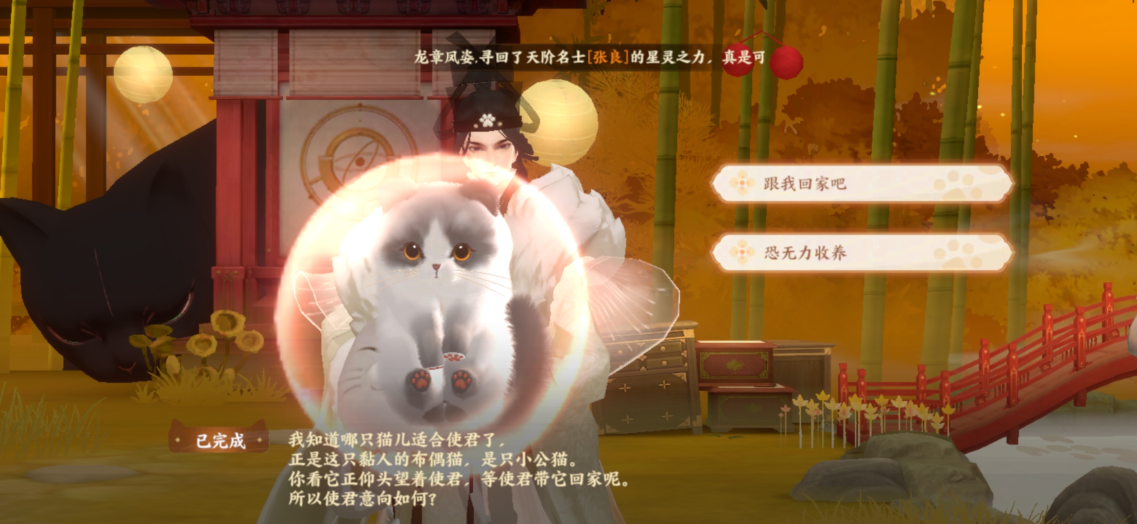 《忘川风华录》喵居玩法介绍