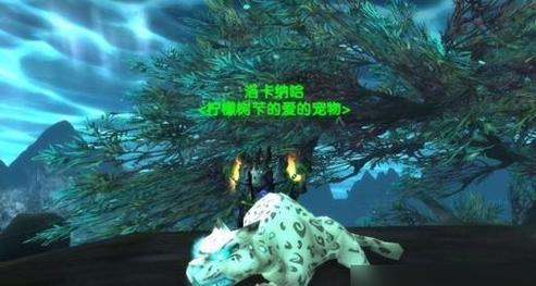 魔兽鹦鹉小宠物的刷新地点？