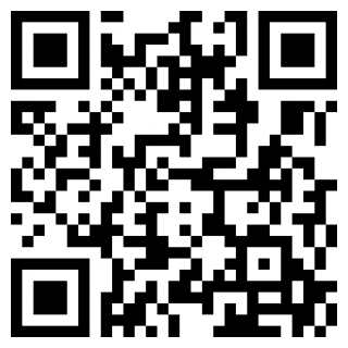 迷彩花都游戏下载2022最新版