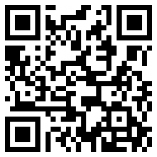 乐高幻影忍者罗宁的阴影