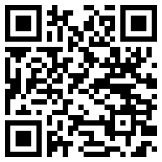 侦探扑灭手机中文版安卓app