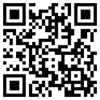 史上最胖忍者安卓app