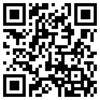 公交司机中文版