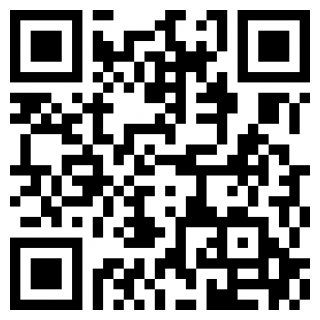 王的骑士正式版