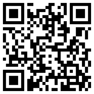 波动少女汉化版安卓版下载2025