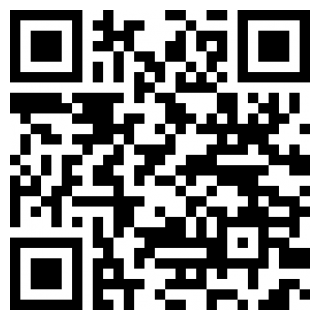 闪烁之光下载安装2026版本