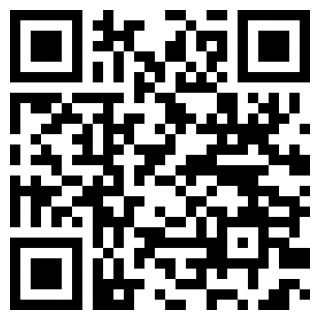 口袋妖怪龙珠版中文版安卓版下载安装