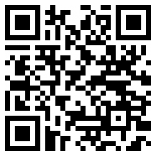 狂野之轮2025下载