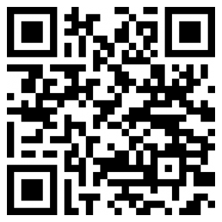 孤独的鸟儿国际版2026安卓版下载