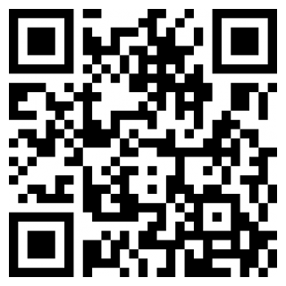 饭团小说软件正版