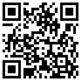 重庆掌上12333社保自助认证app