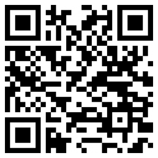小鸟壁纸手机版最新版app